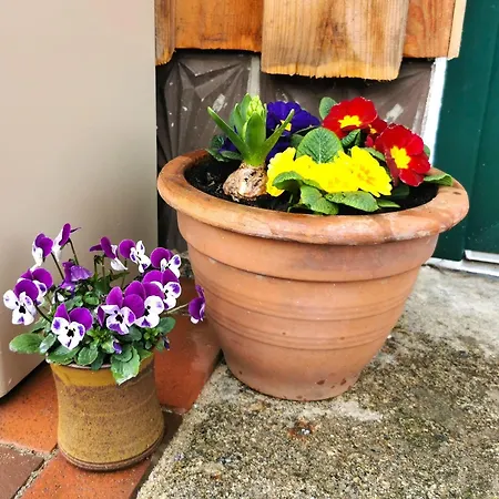 Emilia Estalagem Wilthen